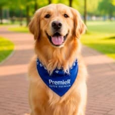 Bandana para Cachorro Personalizada com Logo